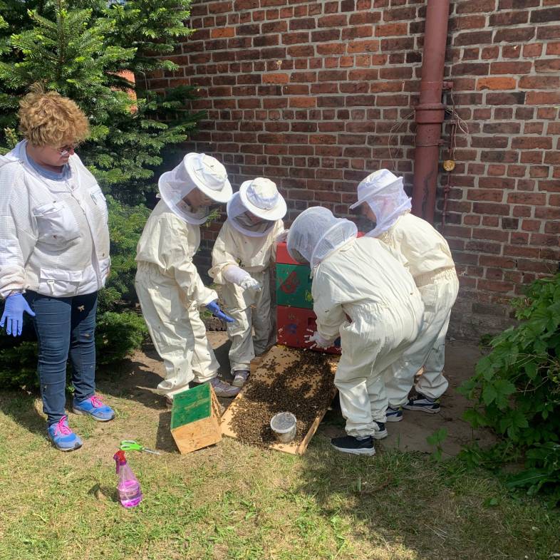Unsere Schule wird BIENEN-Schule